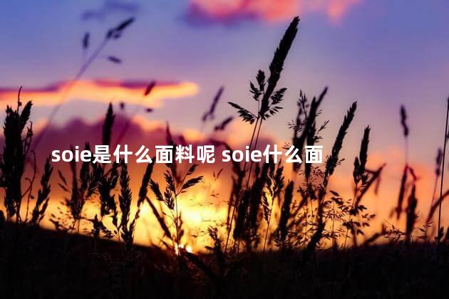 soie是什么面料呢 soie什么面料